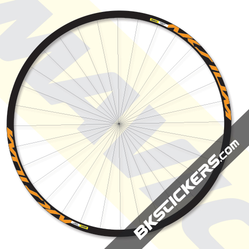 aksium disc