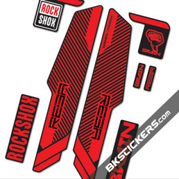 Rockshox RS Reba Brain - Bkstickers fork stickers