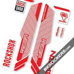 Rockshox RS Reba Brain - Bkstickers fork stickers