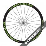 reynolds_assault_green