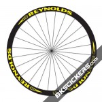 reynolds_assault_yellow