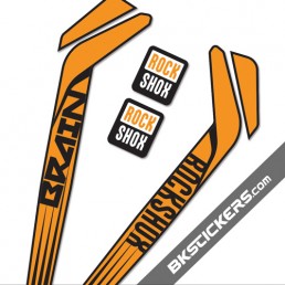 Rockshox RS-1 Brain Stickers kit Black Forks - bkstickers.com