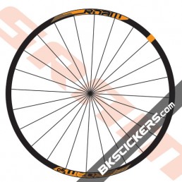 SRAM Roam 30 Decals Kits - bkstickers.com