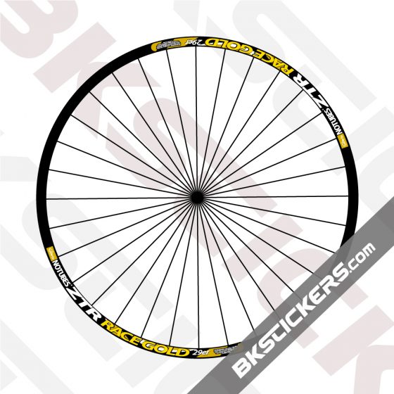 ZTR-Race-Gold-29er-Decals-Kit-03