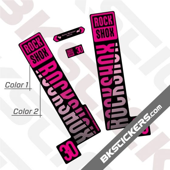 Rockshox 30 2020 Black Fork Decals kit 01
