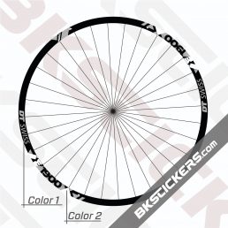 DT Swiss E 1900 Spline 30 Decals Kit - BkStickers.com - Rim stickers